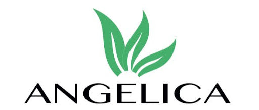 Angelica 