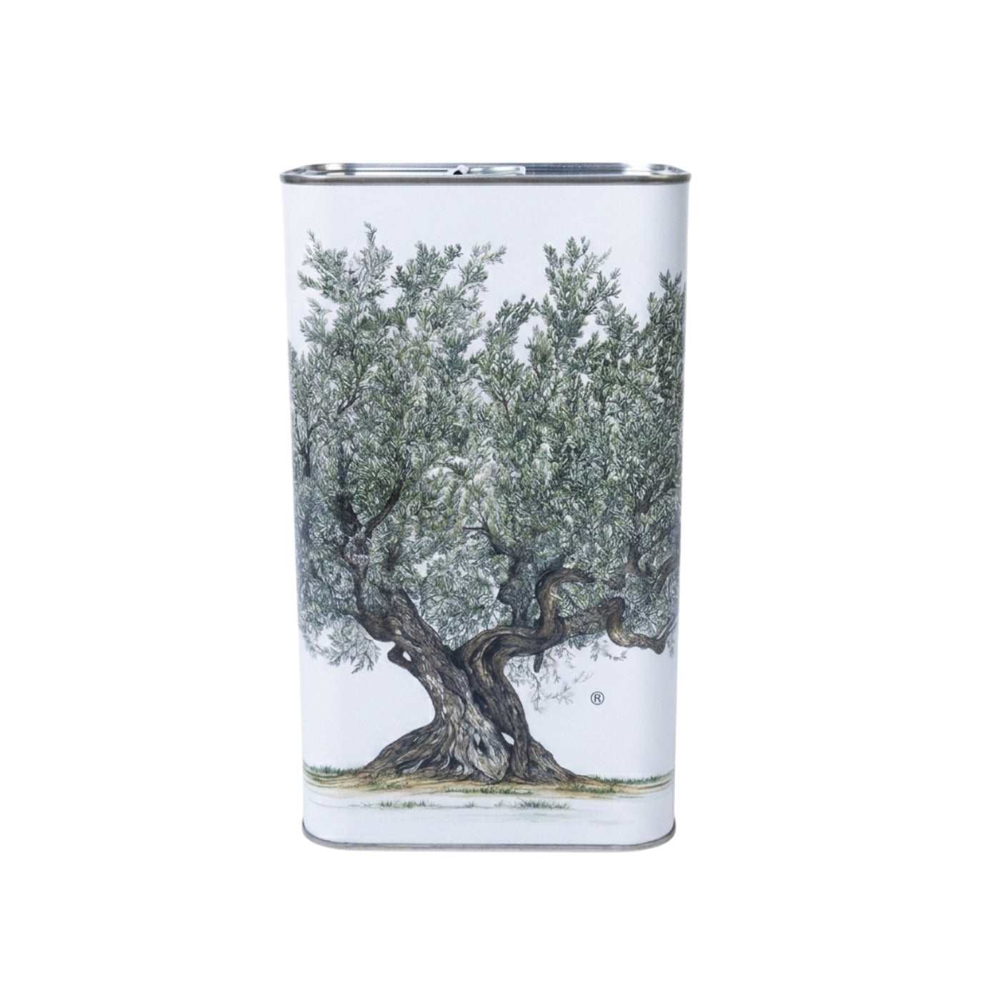 Olio EVO Angelica "Sant'Andrea" - Lattina 3L