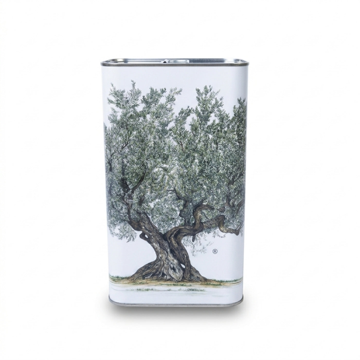 Olio EVO Angelica "Sant'Andrea" - Lattina 5L